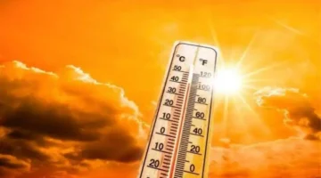ارتفاع طفيف في درجات الحرارة وتحذير من الشبورة المائية يؤثران على حالة الطقس غدًا